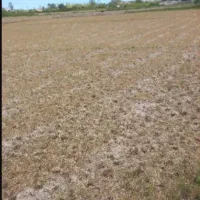 فروش نیم هکتار زمین کشاورزی و دو ساعت اب