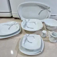 سرویس چینی پردیس درحدنو