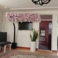 تاپ .زیبا و ضدعفونی شده برای خانواده هاو زوج ها