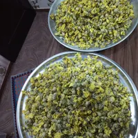 گل ختمی
