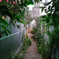 ااجاره سوییت دنج و دربست .جاده دریا ساری شهر آکند|اجارهٔ کوتاهمدت ویلا و باغ|آکند, |دیوار