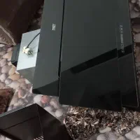 هود|هود|خمام, |دیوار