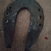 یک عددنعل|اسب و تجهیزات اسب‌سواری|تبریز, |دیوار