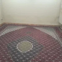 فرش ۱۲ متری خوش رنگ