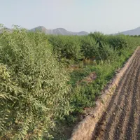 فروش زمین باغ و ویلا ،خوش نقشه ،سند دار، کشت بادام|فروش زمین و ملک کلنگی|فولادشهر, A6|دیوار