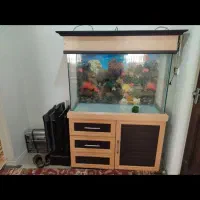 اکواریم با لوازم|ماهی|همدان, |دیوار