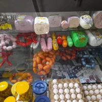 پاچال و یخچال شیشه خم