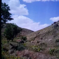 میم