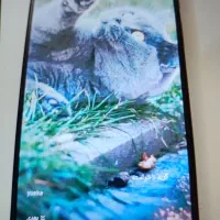 گوشی شیامی|موبایل|رشت, کوی غلام نیا|دیوار