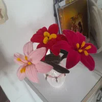 گل لیلیوم پیپ پاکن