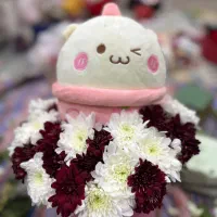 گل طبیعی|گل و گیاه طبیعی|اهواز, پادادشهر|دیوار