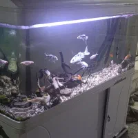 آکواریوم ۱.۵ متری با لوازم کامل