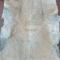 پوست طبیعی آهو