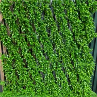 چمن مصنوعی و گرین وال (Green wall )|گل مصنوعی|کرج, دهقان ویلا|دیوار