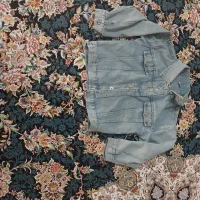 کاپشن دخترانه و کت جین|لباس|شیراز, سلطان آباد|دیوار