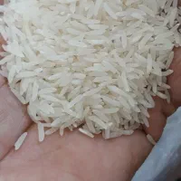 برنج فجرسوزنی پارسالی وامسالی خوش پخت وخوش عطر