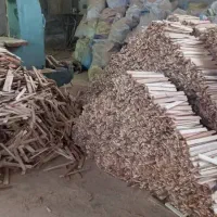 دری سبدی|خدمات باغبانی و درختکاری|دزفول, |دیوار