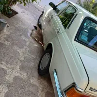 پیکان سالم تک برگ سند