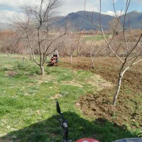 کار با تیلر