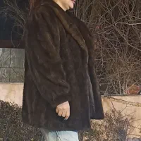 پالتو پوست