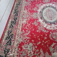 فرش|فرش|شیراز, شیخ علی چوپان|دیوار