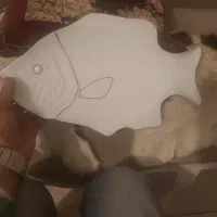 قوری و فنجان و ماهی بلوری پیش دستی دیس هارکوپال|حراج|پرند, فاز ۵|دیوار