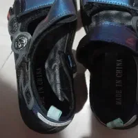 کفش|کیف، کفش، کمربند|مشهد, تربیت (صدف)|دیوار