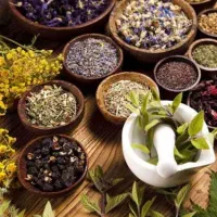 دوره رایگان طب سنتی و درمان با گیاهان دارویی