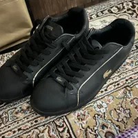 کتونی لاگوست سایز ۳۷