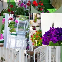 اجاره روزانه تالش|اجارهٔ کوتاهمدت ویلا و باغ|لیسار, |دیوار