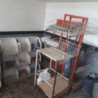 جای شکلات. جای حبوبات. استند