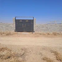 باغچه-انار-در-محمود-آباد-پاکدشت