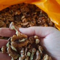 مغز گردو|خوردنی و آشامیدنی|قم, جهان بینی|دیوار