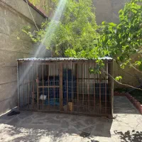 قفس مرغ سگ بوقلمون و غیره