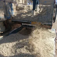 تفاله چغندر دونم ،آبکی،خشک