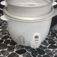 وسیله برقی