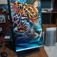 مانیتور ۲۴ اینچ فریم لس برند Dell با پایه آسانسوری|قطعات و لوازم جانبی رایانه|بابل, |دیوار