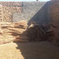 بته
