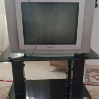 تلویزیون