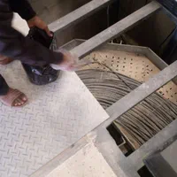 نظافت وسم پاشی
