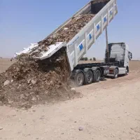 کودمرغ