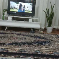 تلویزیون اسنوا سالم ب شرط بازدید تعمیرکار|تلویزیون و پروژکتور|گلستان (تهران), |دیوار