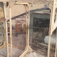 چهار عدد قفس چوبی