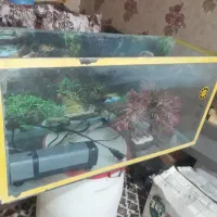 آکواریوم شیشه ای ۸۰×۴۰×۳۰
