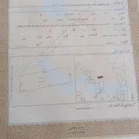 زمین ۲۵۰ متری سنددار در پیربازار