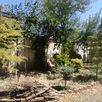 هرس ،باغبانی و طراحی فضای سبز|خدمات باغبانی و درختکاری|اردبیل, |دیوار