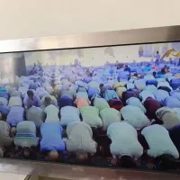 تلویزیون مارشال
