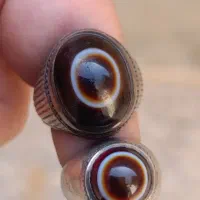 سه پوستهای باباقوری بقرانی|کلکسیون اشیاء عتیقه|بندر ماهشهر, |دیوار