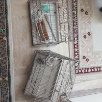 قفس پرنده غلامی