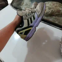 کتونیzxعتیقع